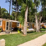 Baia Dei Micenei Kamp alanı