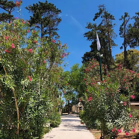 Baia Dei Micenei Кемпінг *