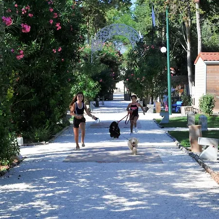 Кемпинг Baia Dei Micenei