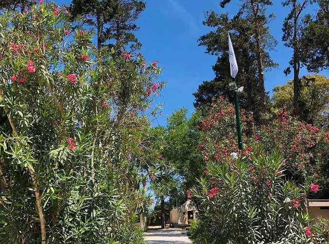 Baia Dei Micenei Кемпінг *