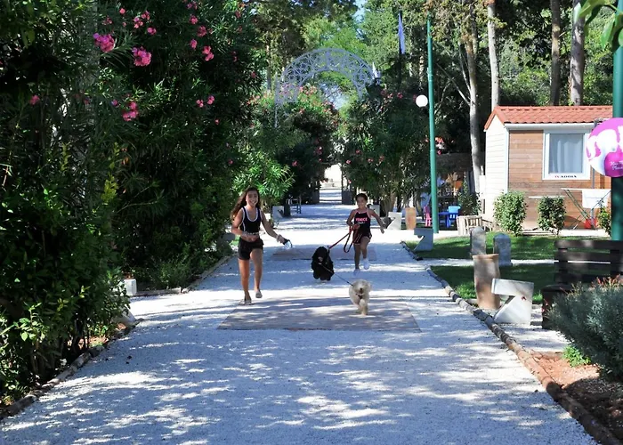 Кемпинг Baia Dei Micenei